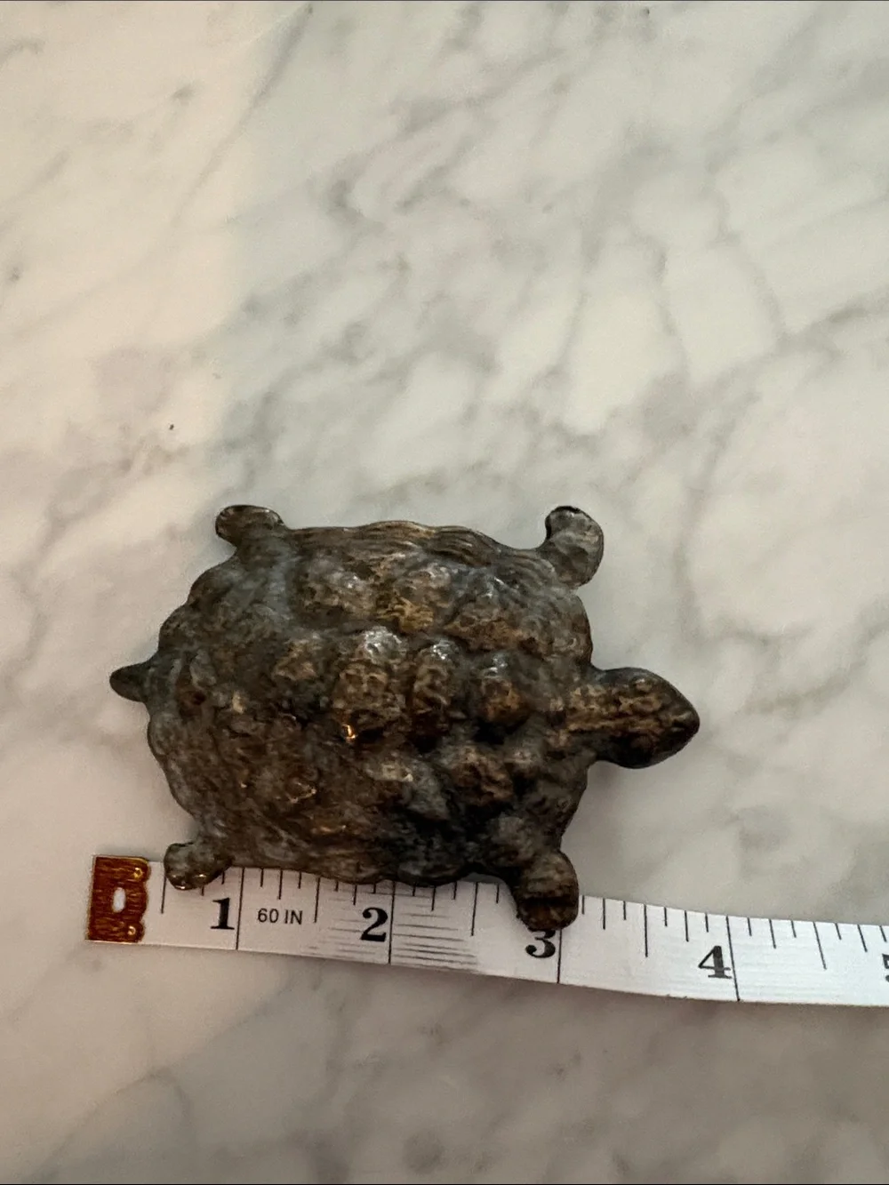 Small Decorative Turtle Chew Toy for Small Pets - Brown/Gray